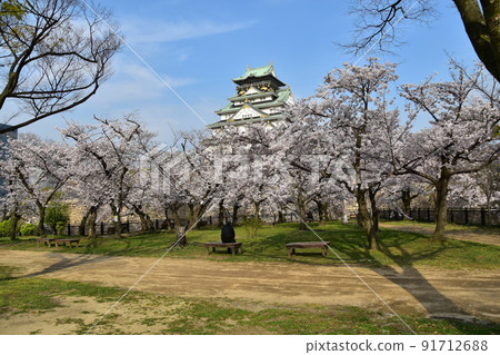 日本春天的大阪城公園,盛開的櫻花和宏偉的城堡塔,遊客觀賞櫻花 日本春天的大阪城公園,盛開的櫻花和宏偉的城堡塔,遊客觀賞櫻花 91712688