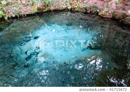 和泉神社和泉3 91715672