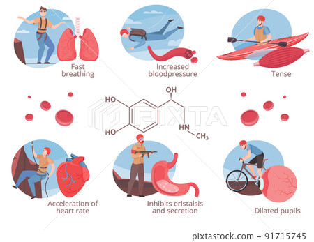 Adrenalin Hormone Set Adrenalin Hormone Set 91715745