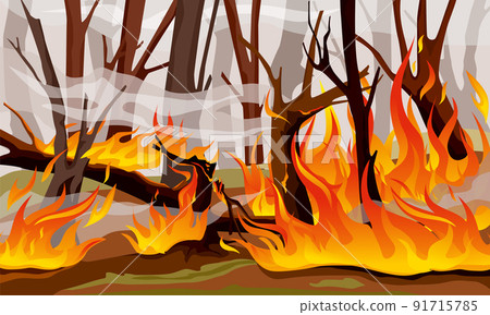 Forest Fire Flame Composition Forest Fire Flame Composition 91715785