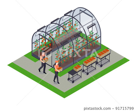 Greenhouse Isometric Element Greenhouse Isometric Element 91715799