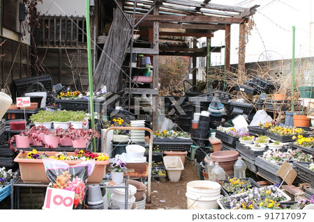 陳列凌亂的花店 91717097