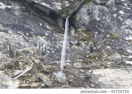 合歡山 合歡山 91720750