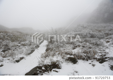 合歡山 91720753