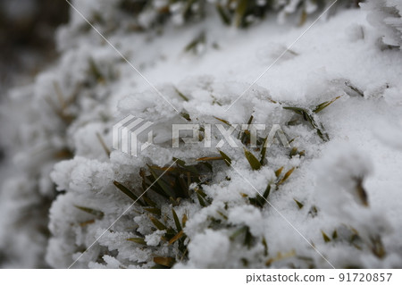 合歡山 合歡山 91720857