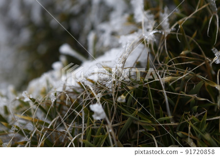 合歡山 合歡山 91720858