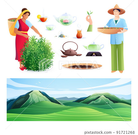 Natural Tea Production Flat Set Natural Tea Production Flat Set 91721268
