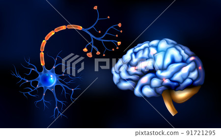 Realistic Brain Set 91721295