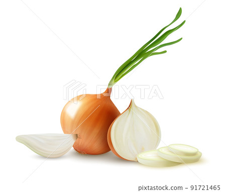 Realistic Onion Composition 91721465