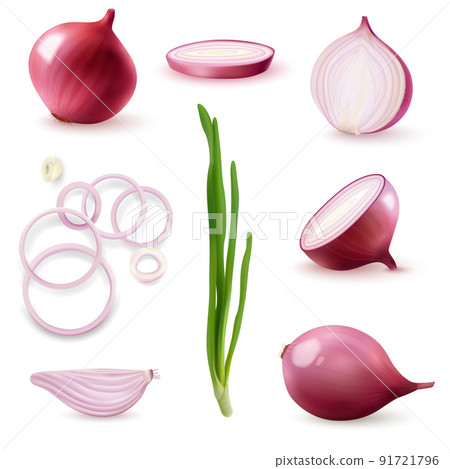 Red Onion Realistic Set Red Onion Realistic Set 91721796