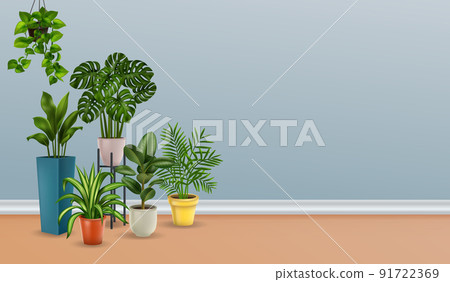 Plants Realistic House Plants Realistic House 91722369