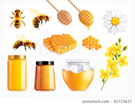 Honey Realistic Icon Set 91723637