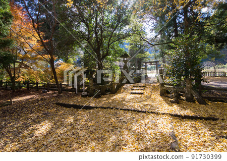 雲八幡宮的紅葉（大分縣中津市矢馬溪） 91730399