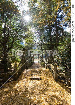 雲八幡宮的紅葉（大分縣中津市矢馬溪） 91730401