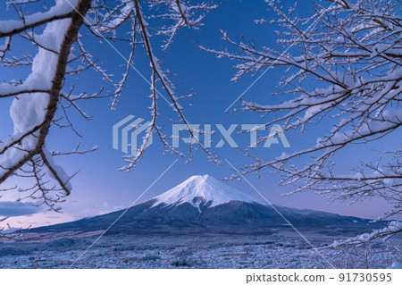 《Yamanashi Prefecture》 Mt. Fuji with snow and Arakurayama Sengen Park in winter 91730595