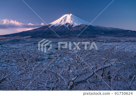 《山梨縣》冬天的雪富士山和新倉山淺間公園 《山梨縣》冬天的雪富士山和新倉山淺間公園 91730624