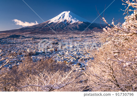 《山梨縣》冬天的雪富士山和新倉山淺間公園 91730796