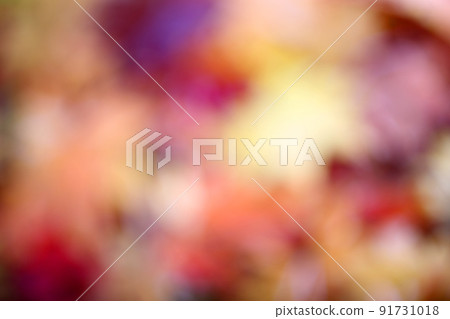 Autumn background. Unfocused multicolor leaves Autumn background. Unfocused multicolor leaves 91731018