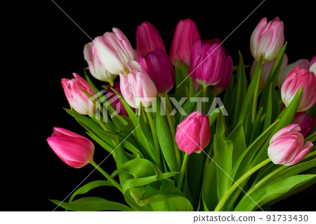 Bouquet of fresh tulips flowers on a table in empty house. Fresh summer pink flowers symbolising hope, love and growth. Bright flowers as a surprise gift or apology gesture against black copyspace Bouquet of fresh tulips flowers on a table in empty house. Fresh summer pink flowers symbolising hope, love and growth. Bright flowers as a surprise gift or apology gesture against black copyspace 91733430