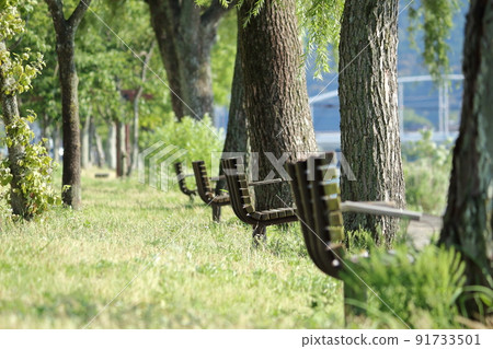 Park benches lined up between trees 91733501