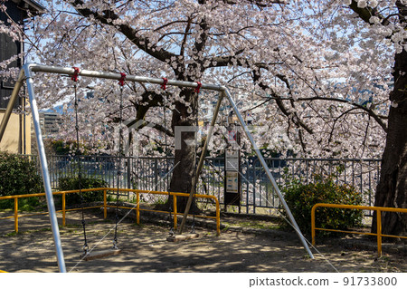Kyoto Pontocho 91733800