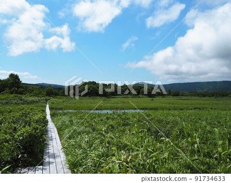Tashirohei in summer Tashirohei in summer 91734633