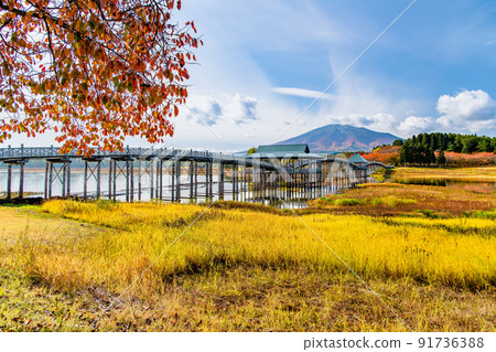 Tsuru no Maihashi and Mt. Iwaki, Tsuruta Town, Aomori Prefecture-Autumn leaves- 91736388