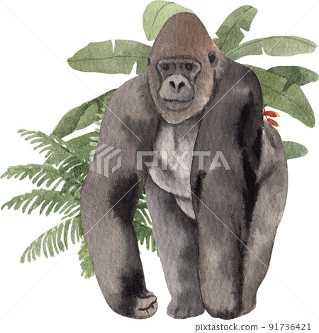 Monkey character watercolor png 91736421