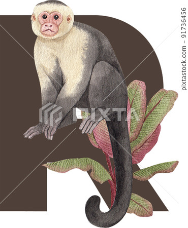 Monkey in jungle character alphabet watercolor Monkey in jungle character alphabet watercolor 91736456