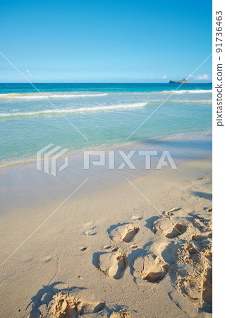 Waves washing onto sandy beach shore with footprints on a tropical and exotic resort with clear blue sky background and copyspace. Relaxing summer seascape to enjoy a peaceful holiday Waves washing onto sandy beach shore with footprints on a tropical and exotic resort with clear blue sky background and copyspace. Relaxing summer seascape to enjoy a peaceful holiday 91736463