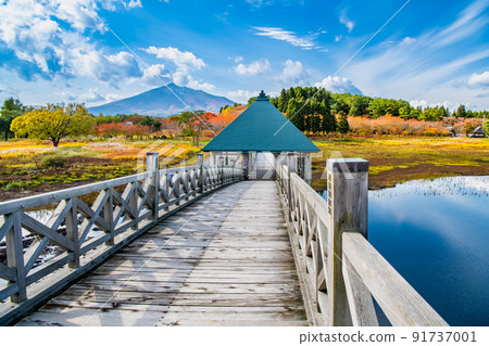 Tsuru no Maihashi and Mt. Iwaki, Tsuruta Town, Aomori Prefecture-Autumn leaves- 91737001