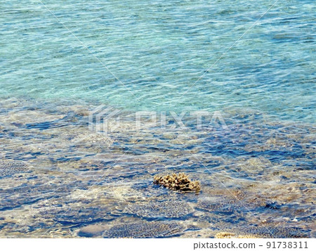 [宮古島]八重通海平面上的珊瑚 91738311