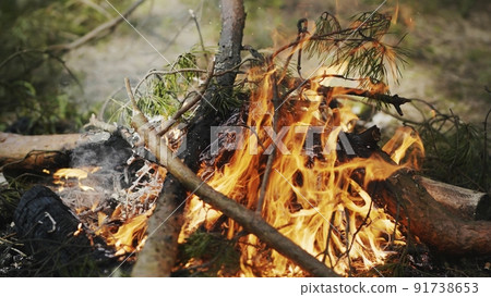 Bonfire burning in the woods during a picnic. Bonfire burning in the woods during a picnic. 91738653