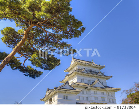 日本小田原城 91738804