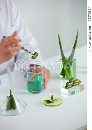 Plants and flowers extract in petri dish and a white background in laboratory , green leaf  in a test tube and doctor for cosmetic advertising , photography science concept 91739144