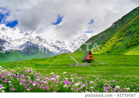 Green pasture and flowers against highest georgian mountain Shkhara near Ushguli in Georgia. 91739567