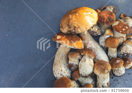 Autumn fall composition. Raw edible mushrooms Penny Bun on dark black stone shale background. Ceps over gray table. Cooking delicious organic mushroom gourmet food. Flat lay top view copy space 91739608
