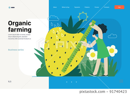 Ecology - Organic farming -Modern flat vector concept illustration of ecology metaphor, woman measuring a giant strawberry. Creative landing web page template Ecology - Organic farming -Modern flat vector concept illustration of ecology metaphor, woman measuring a giant strawberry. Creative landing web page template 91740423