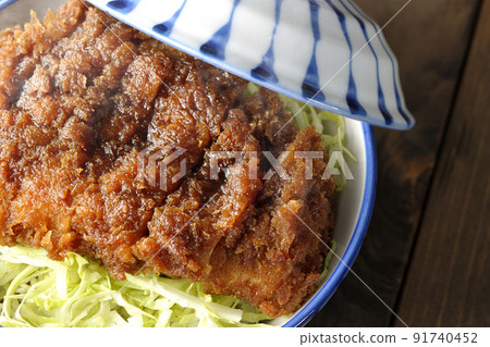 熱醬汁和碗的鳥瞰圖,在捲心菜絲上放著一塊與大量醬汁纏繞在一起的炸肉排 熱醬汁和碗的鳥瞰圖,在捲心菜絲上放著一塊與大量醬汁纏繞在一起的炸肉排 91740452