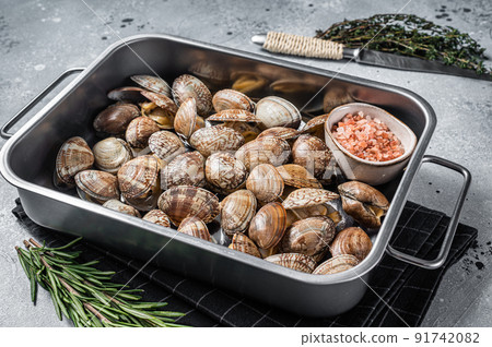 Raw shells Clams vongole in a steel tray. Gray background. Top view Raw shells Clams vongole in a steel tray. Gray background. Top view 91742082