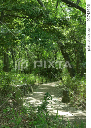 令人耳目一新的步行道 91742696