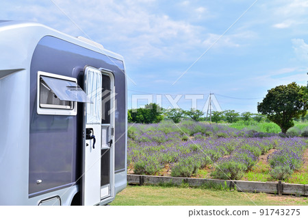 Summer camper trip lavender blooming park Summer camper trip lavender blooming park 91743275
