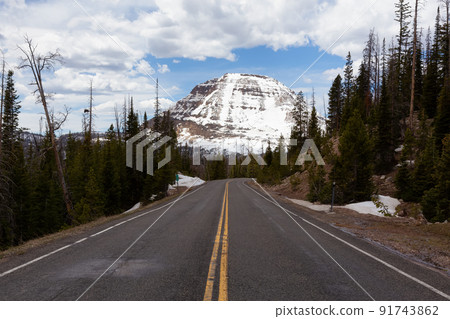Scenic Road, Snowy Mountain and Trees. Spring Season. 91743862
