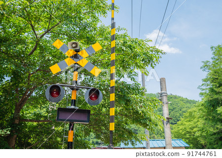 a memory from summer 91744761