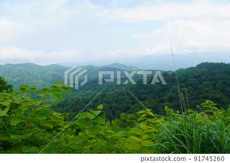 Scenery seen from Tomal Pass 91745260