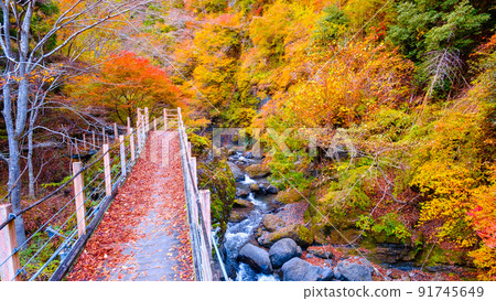 大柳川峽谷(秋季):龍門橋 大柳川峽谷(秋季):龍門橋 91745649