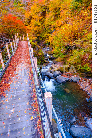 大柳川峽谷（秋季）：龍門橋 91745652