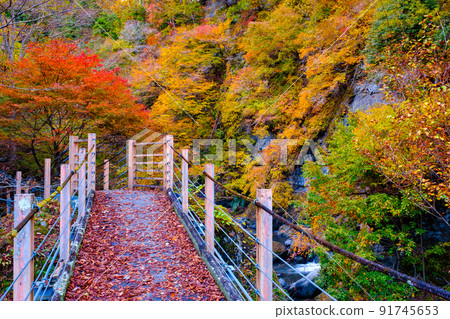 大柳川峽谷（秋季）：龍門橋 91745653