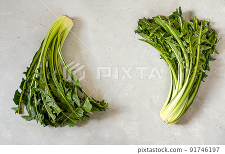Chicory greens in colander on white wooden table. Top view with copy space Chicory greens in colander on white wooden table. Top view with copy space 91746197