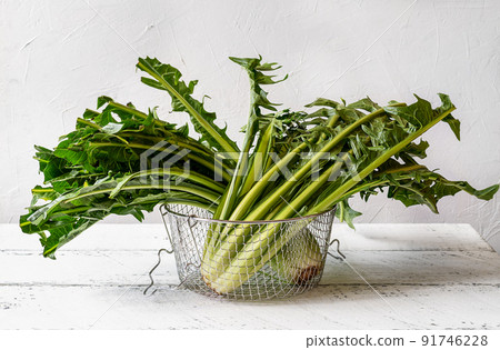 Chicory greens in colander on white wooden table Chicory greens in colander on white wooden table 91746228